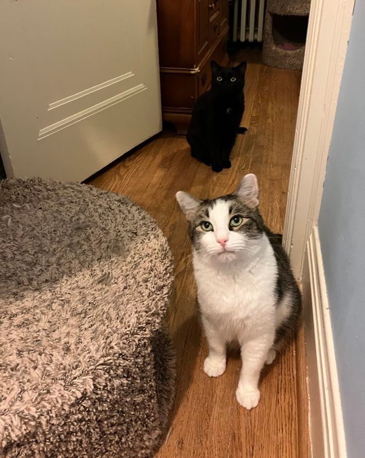 Mac and Cindy