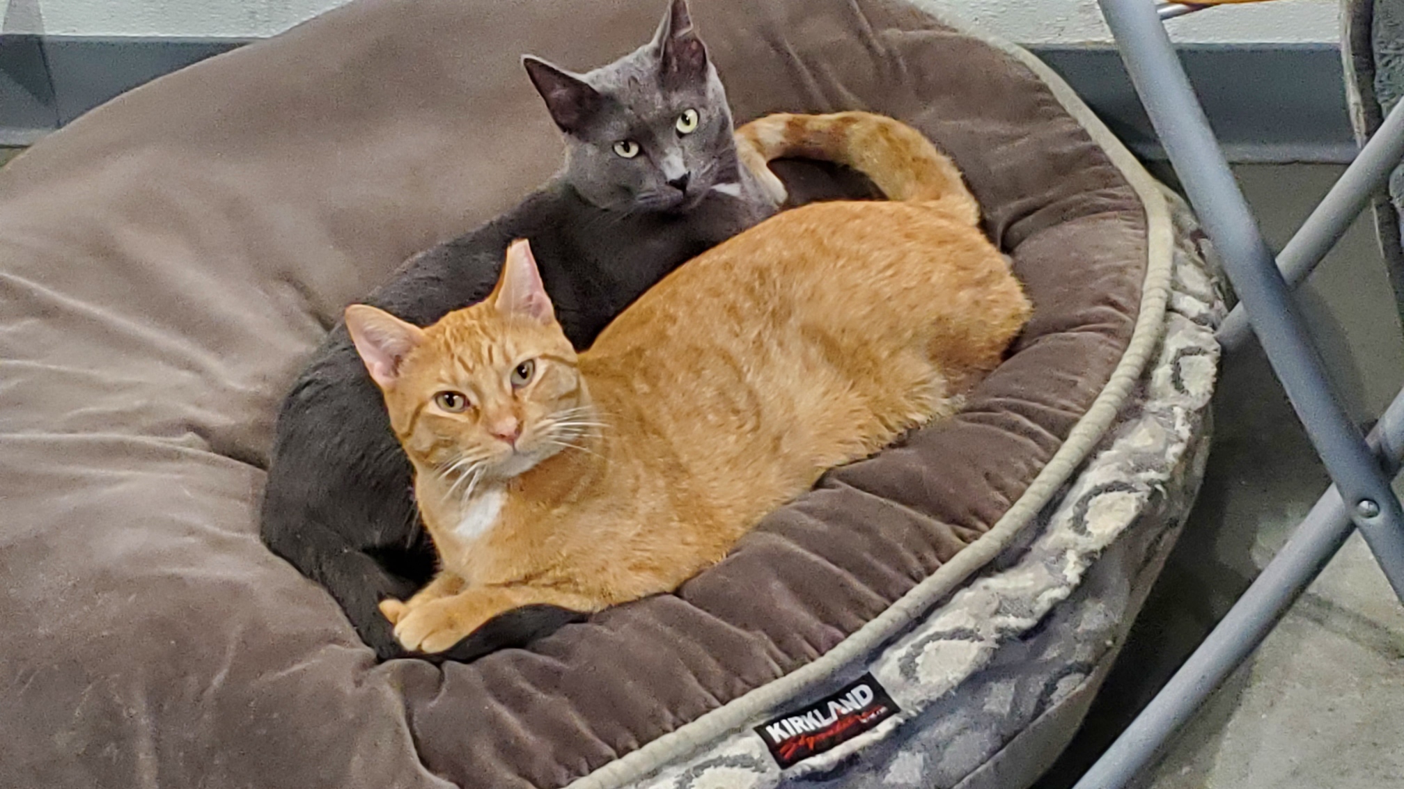 Xander and Milo